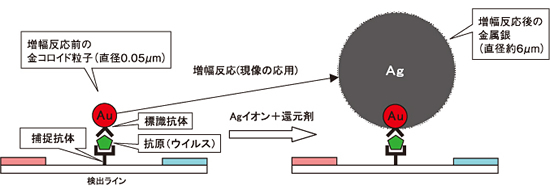 超高感度インフルエンザ診断